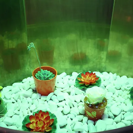 ホテル　クエーサー ホテル 2*