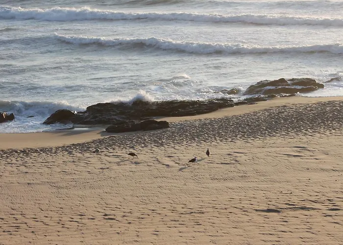Ξενοδοχείο Quasar